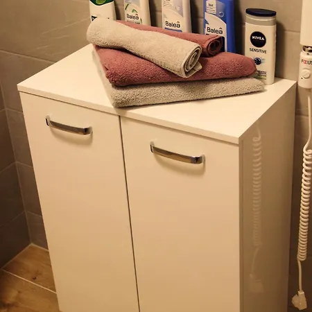 Quiet Flat Near Downtown, With Free Garage *